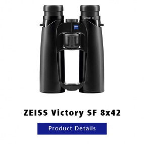 Zeiss Victory SF 8x42 Binoculars